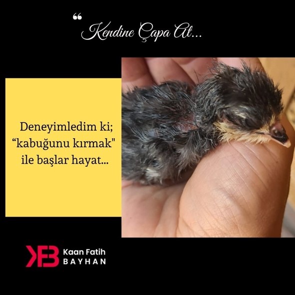 Deneyimledim ki; “kabuğunu kırmak ile başlar hayat…